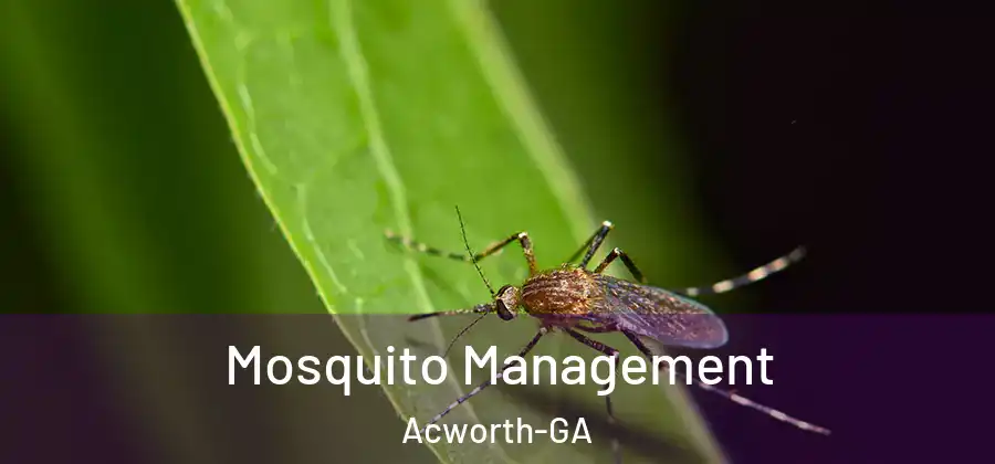 Mosquito Management Acworth-GA