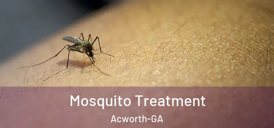 Mosquito Treatment Acworth-GA