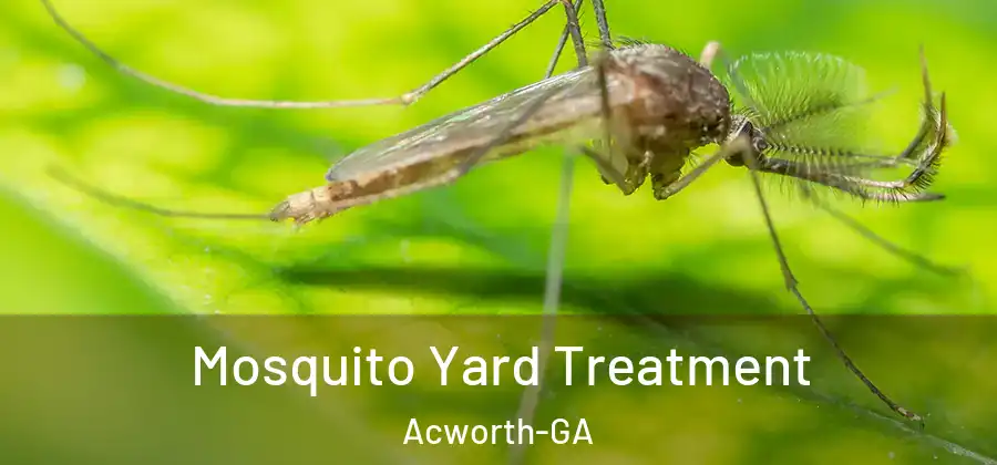 Mosquito Yard Treatment Acworth-GA