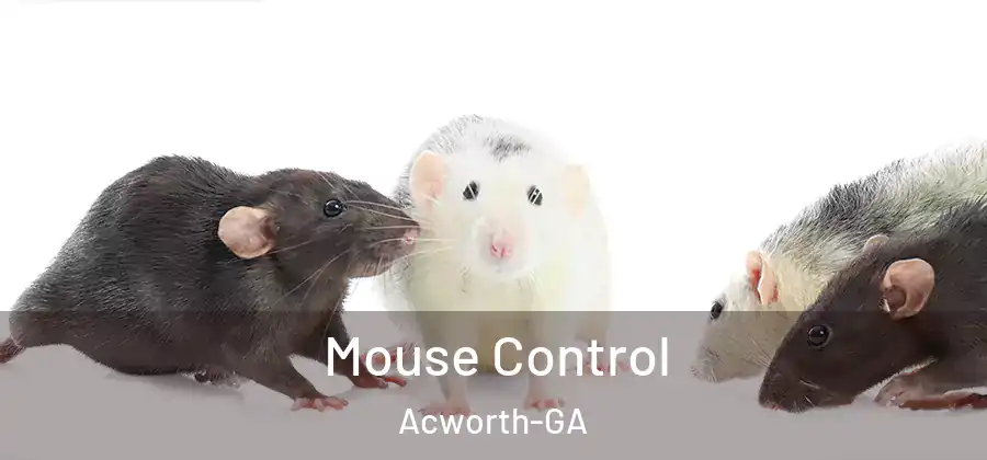 Mouse Control Acworth-GA