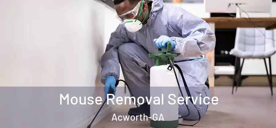 Mouse Removal Service Acworth-GA