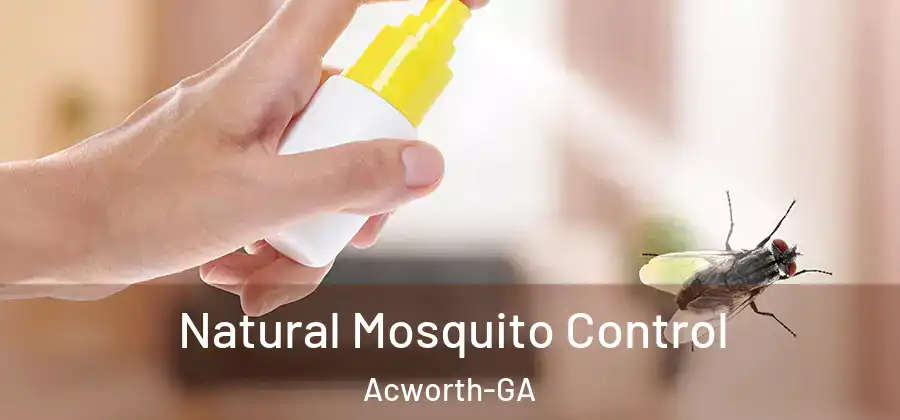  Natural Mosquito Control Acworth-GA