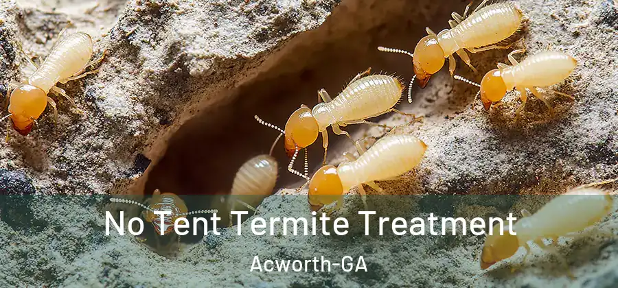  No Tent Termite Treatment Acworth-GA