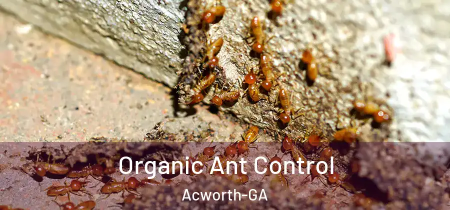  Organic Ant Control Acworth-GA