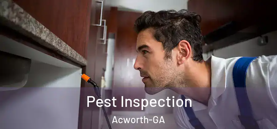 Pest Inspection Acworth-GA