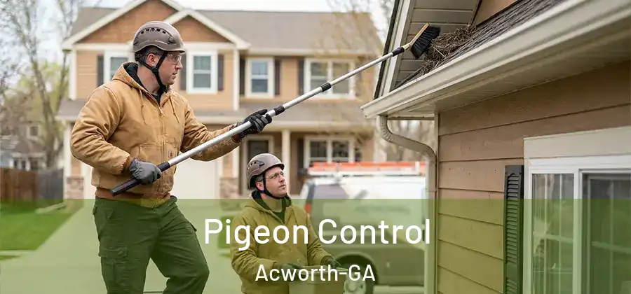  Pigeon Control Acworth-GA