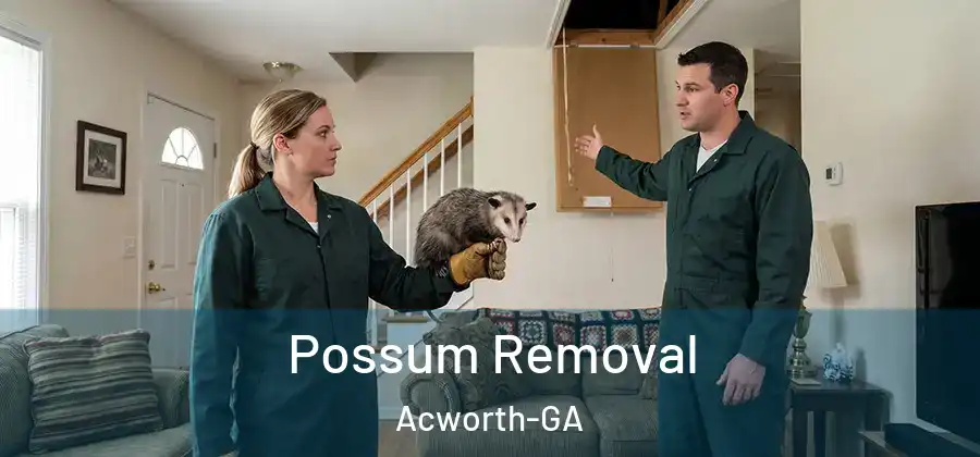 Possum Removal Acworth-GA
