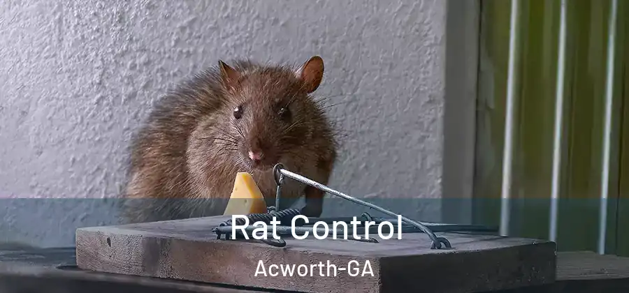 Rat Control Acworth-GA