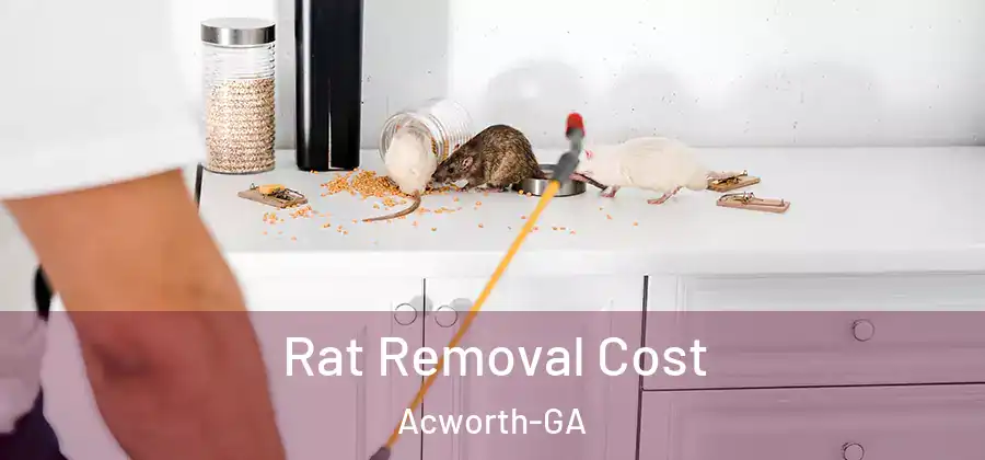  Rat Removal Cost Acworth-GA