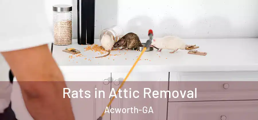  Rats in Attic Removal Acworth-GA