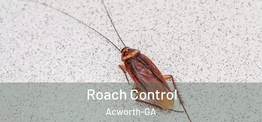  Roach Control Acworth-GA