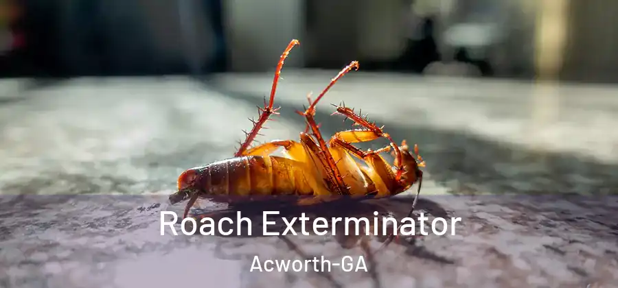 Roach Exterminator Acworth-GA