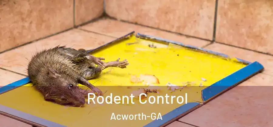 Rodent Control Acworth-GA