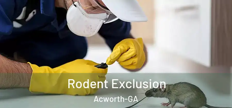 Rodent Exclusion Acworth-GA