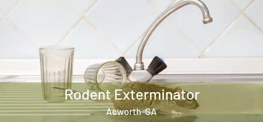  Rodent Exterminator Acworth-GA
