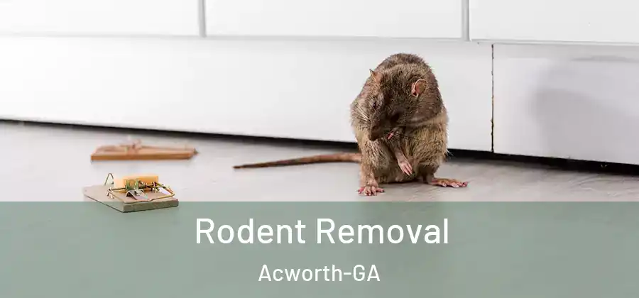  Rodent Removal Acworth-GA