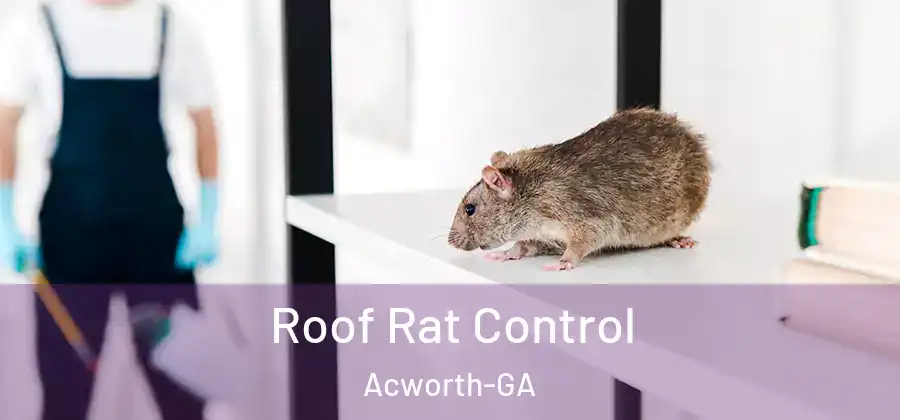  Roof Rat Control Acworth-GA