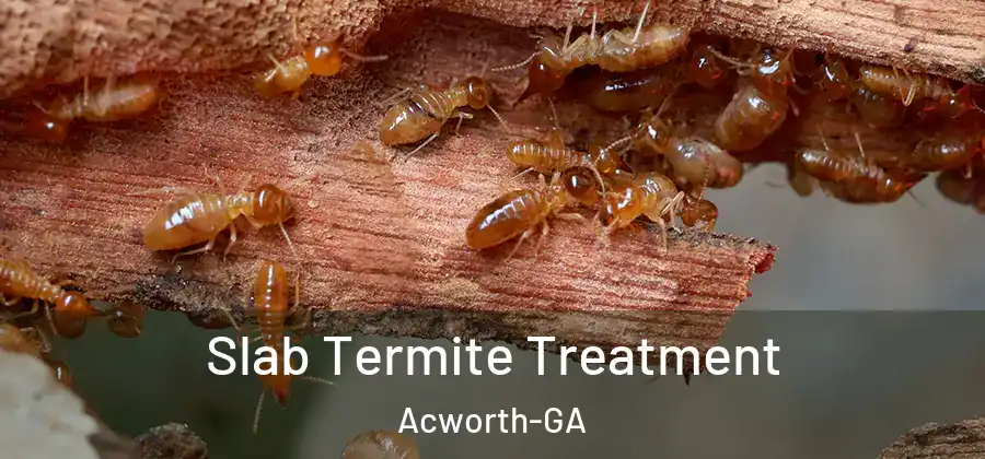  Slab Termite Treatment Acworth-GA