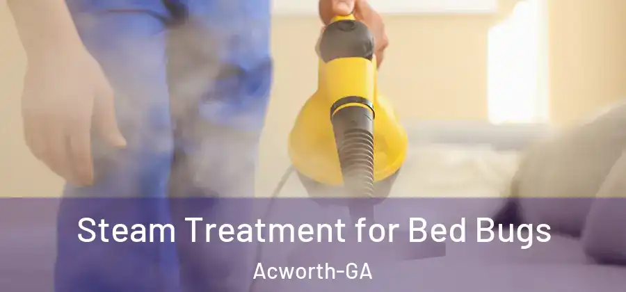 Steam Treatment for Bed Bugs Acworth-GA