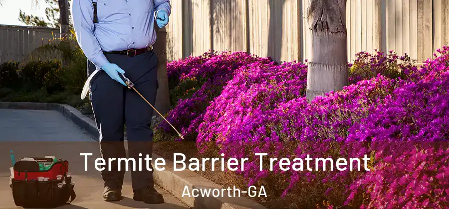  Termite Barrier Treatment Acworth-GA