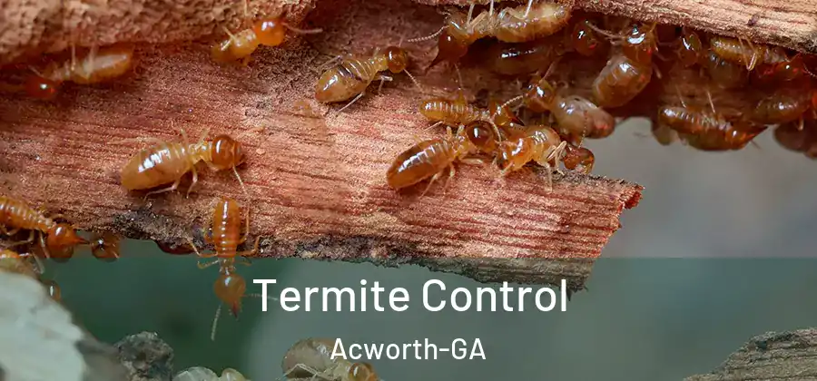 Termite Control Acworth-GA
