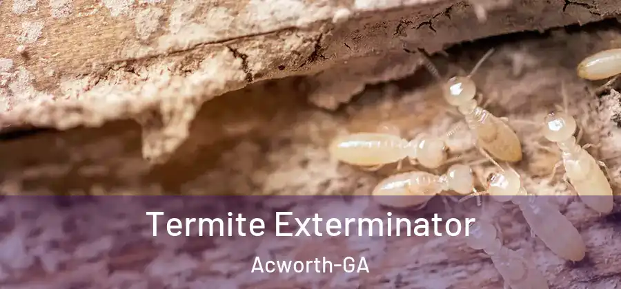  Termite Exterminator Acworth-GA