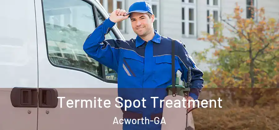  Termite Spot Treatment Acworth-GA