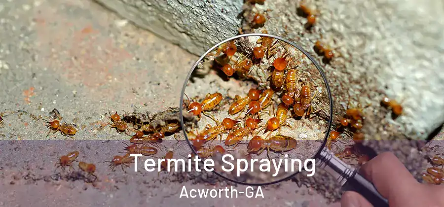 Termite Spraying Acworth-GA