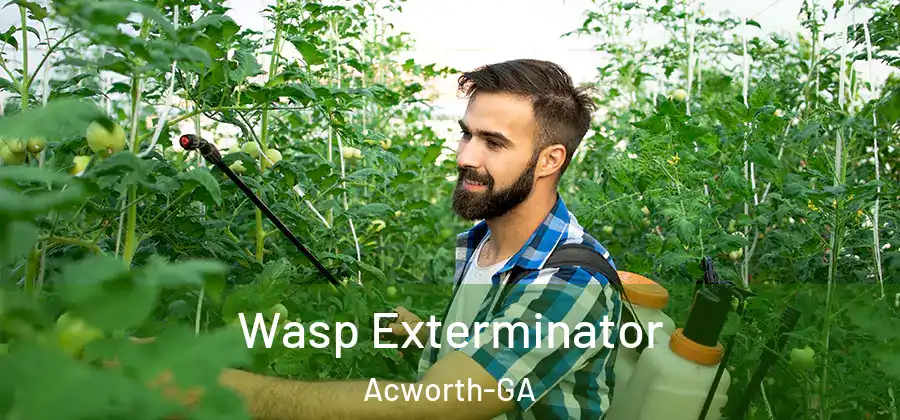 Wasp Exterminator Acworth-GA