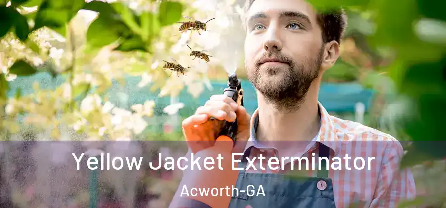  Yellow Jacket Exterminator Acworth-GA
